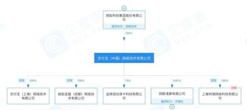 螞蟻原CEO退出旗下多家公司法人，高管黃浩、陳亮接任 信息系統(tǒng)集成服務(wù)的玄機何在